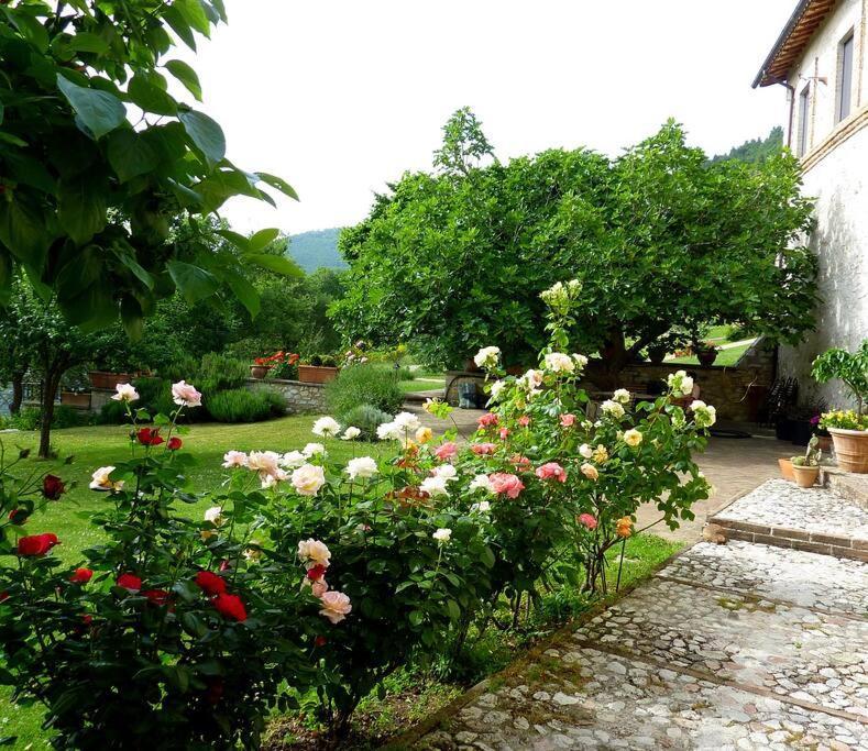 All Stone Horse Stable Converted To Elegant Apartment - Baltimora Spoleto Exterior foto